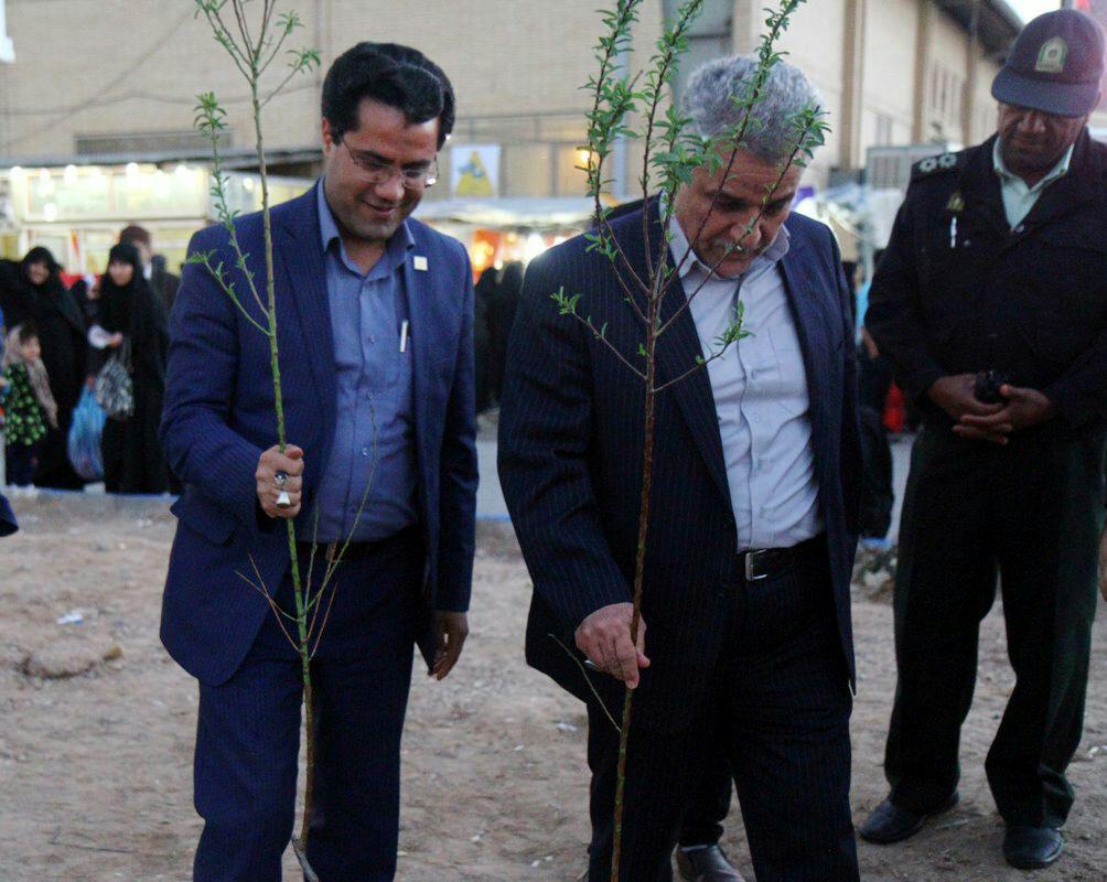 درختکاری سالن نمایشگاه یزد