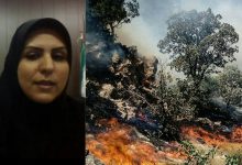 امکانات برای مهار آتش‌سوزی در استان بسیار کم است
